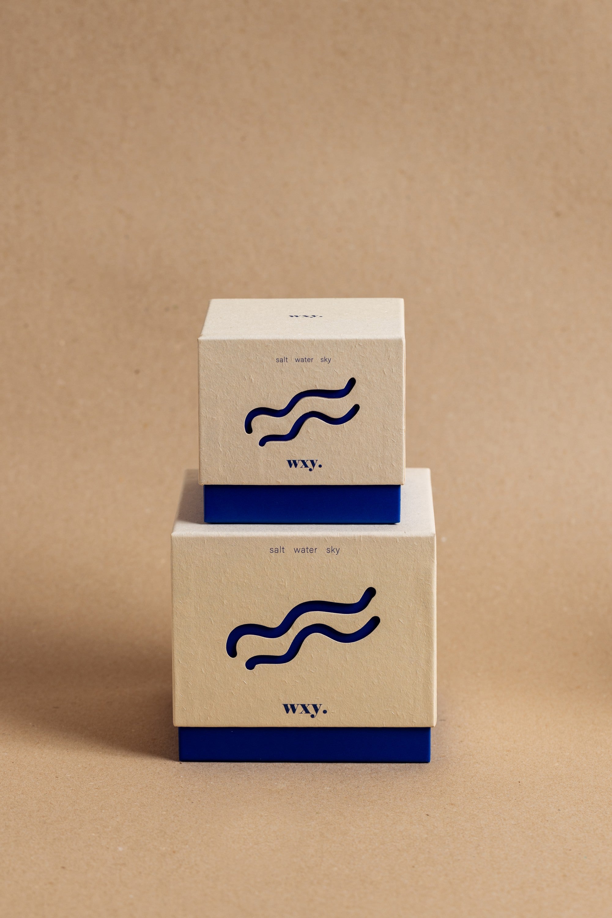 Roam Mini-2