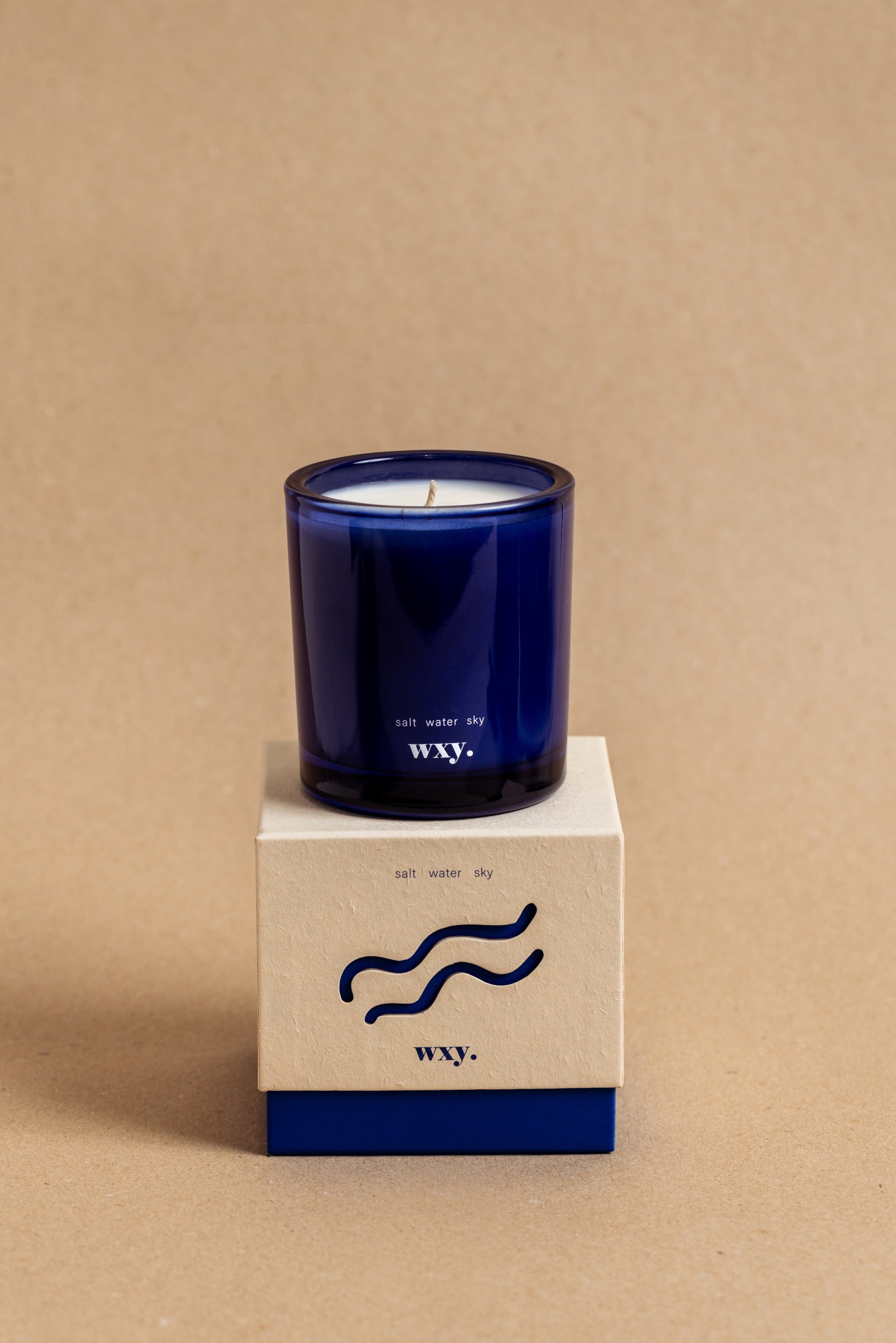 Roam Mini-1